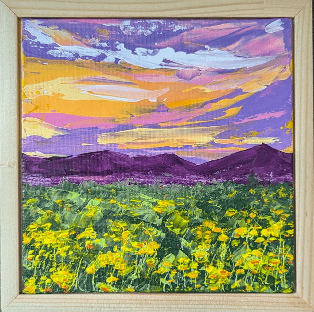 Meadow at sunset 