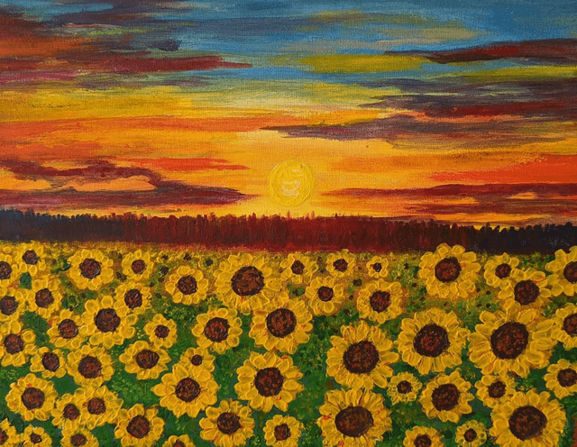 🔴 Sunflower fields 